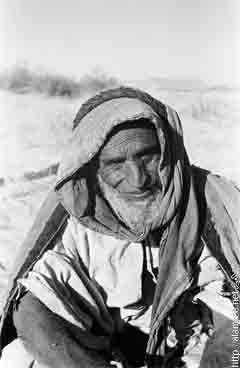 ���� ������ ��� ��� ����