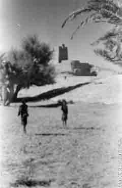 ���� ������ ��� ��� ����