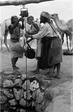 ���� ������ ��� ��� ����