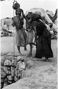 ���� ����� ��� ��� ����