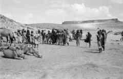 ���� ������ ��� ��� ����