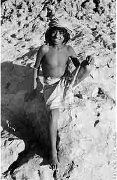 ���� ������ ��� ��� ����