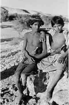 ���� ����� ��� ��� ����