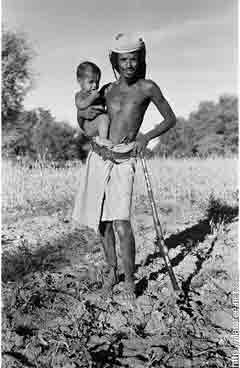 ���� ������ ��� ��� ����