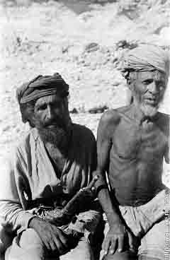 ���� ������ ��� ��� ����