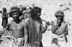 ���� ������ ��� ��� ����