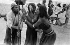 ���� ������ ��� ��� ����