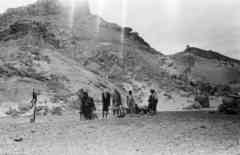 ���� ������ ��� ��� ����