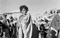 ���� ������ ��� ��� ����