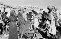 ���� ������ ��� ��� ����