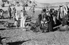 ���� ������ ��� ��� ����