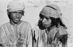 ���� ������ ��� ��� ����