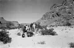 ���� ������ ��� ��� ����