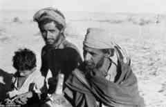 ���� ������ ��� ��� ����