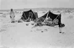 ���� ������ ��� ��� ����