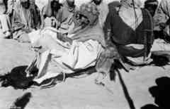 ���� ������ ��� ��� ����