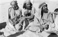 ���� ������ ��� ��� ����