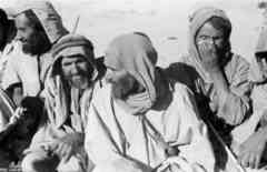 ���� ������ ��� ��� ����