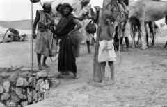 ���� ������ ��� ��� ����