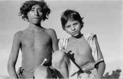 ���� ������ ��� ��� ����