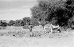 ���� ������ ��� ��� ����