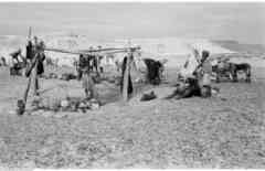 ���� ������ ��� ��� ����