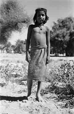 ���� ������ ��� ��� ����