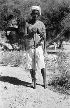 ���� ������ ��� ��� ����