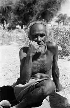 ���� ������ ��� ��� ����