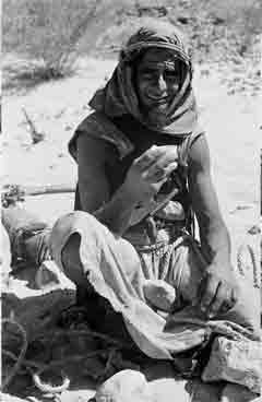 ���� ������ ��� ��� ����