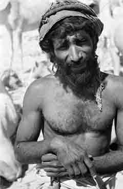 ���� ������ ��� ��� ����