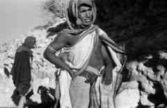 ���� ������ ��� ��� ����