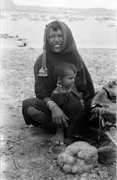 ���� ������ ��� ��� ����