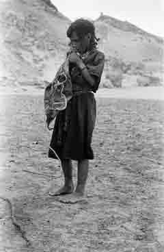 ���� ������ ��� ��� ����