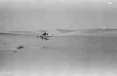 ���� ������ ��� ��� ����