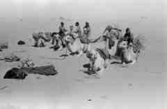 ���� ������ ��� ��� ����