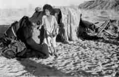 ���� ������ ��� ��� ����