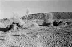 ���� ������ ��� ��� ����