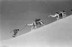 ���� ������ ��� ��� ����