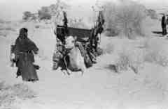 ���� ����� ��� ��� ����