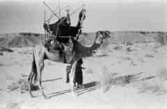 ���� ������ ��� ��� ����