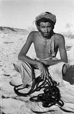 ���� ������ ��� ��� ����