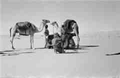 ���� ������ ��� ��� ����