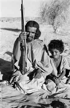 ���� ������ ��� ��� ����