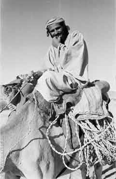 ���� ������ ��� ��� ����