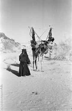 ���� ����� ��� ��� ����