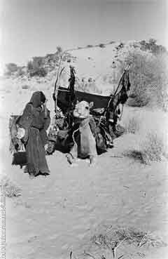 ���� ������ ��� ��� ����