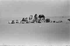 ���� ������ ��� ��� ����