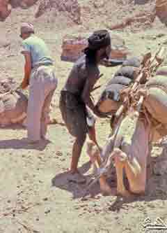  ���� ������ �� ��������