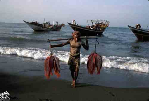 ������. ���� ���� �����. ��� 1972� ����� ����� ���� 